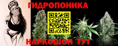шишки Тулун